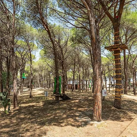 Apartamento Affittasardegna - Domo Pineta