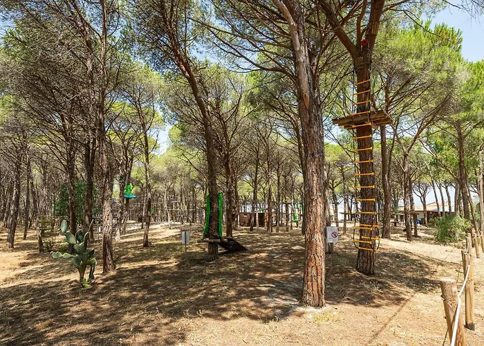 Affittasardegna - Domo Pineta Apartment